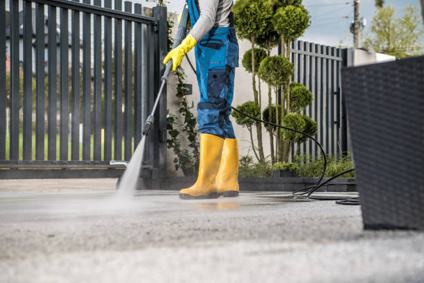Animal Enclosure Cleaning in De Soto, KS
